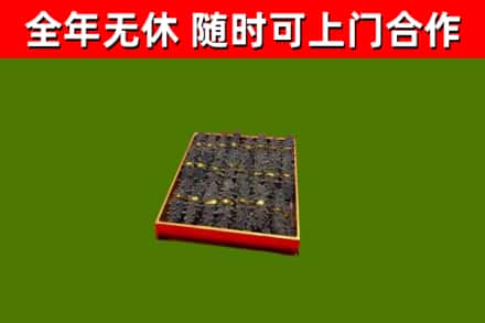 巴林右回收海参